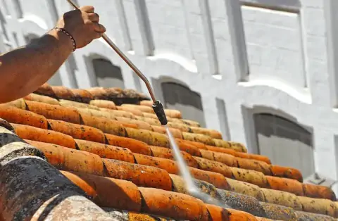 Nettoyage de toitures - Tarn-et-Garonne